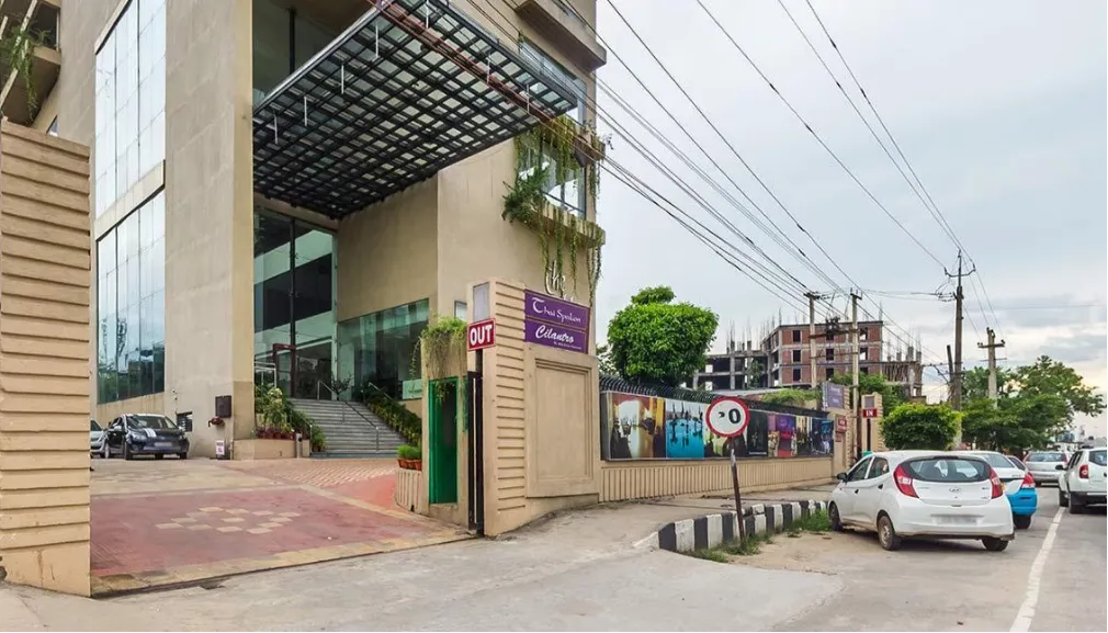 The Lily Hotel